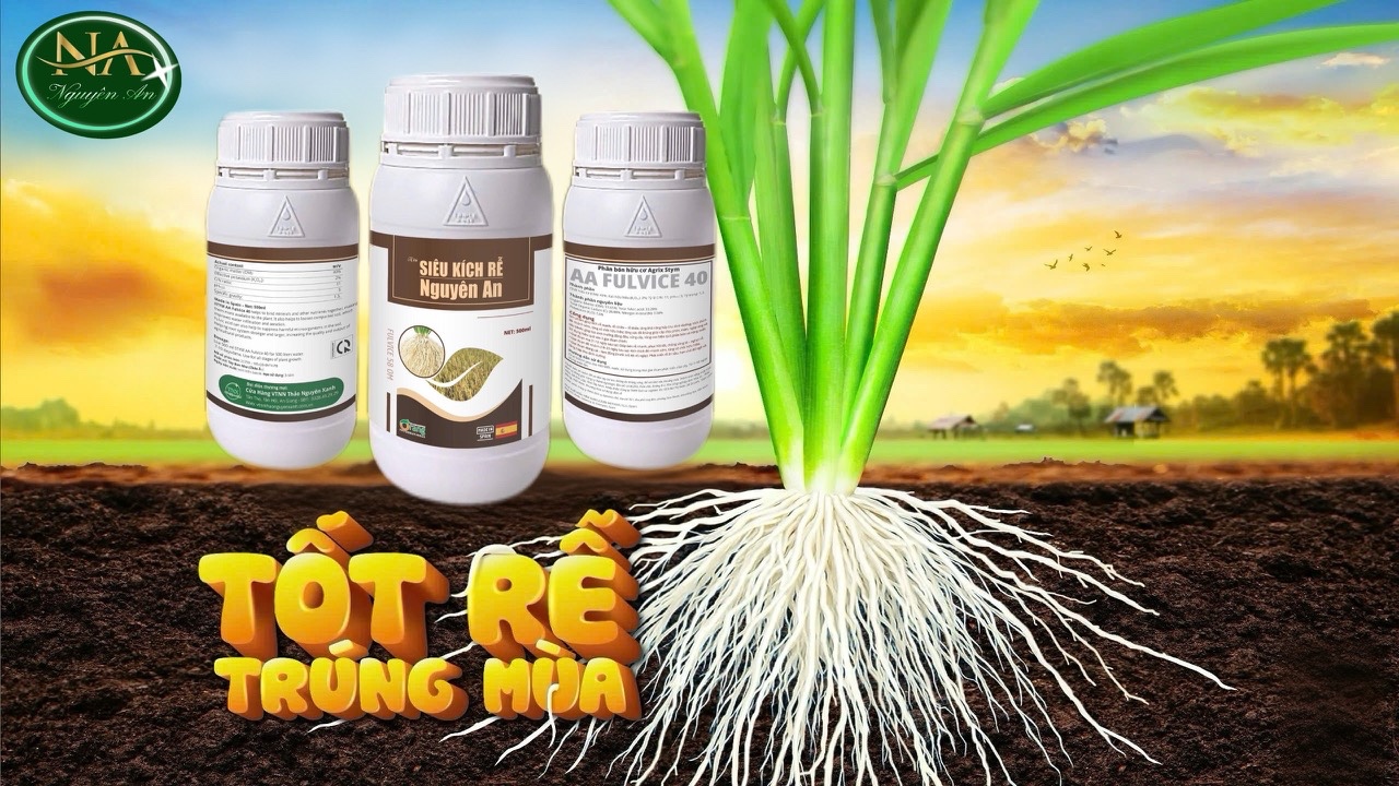 PHÂN BÓN LÁ CAO CẤP "Siêu Kích Rễ - Nguyên An"